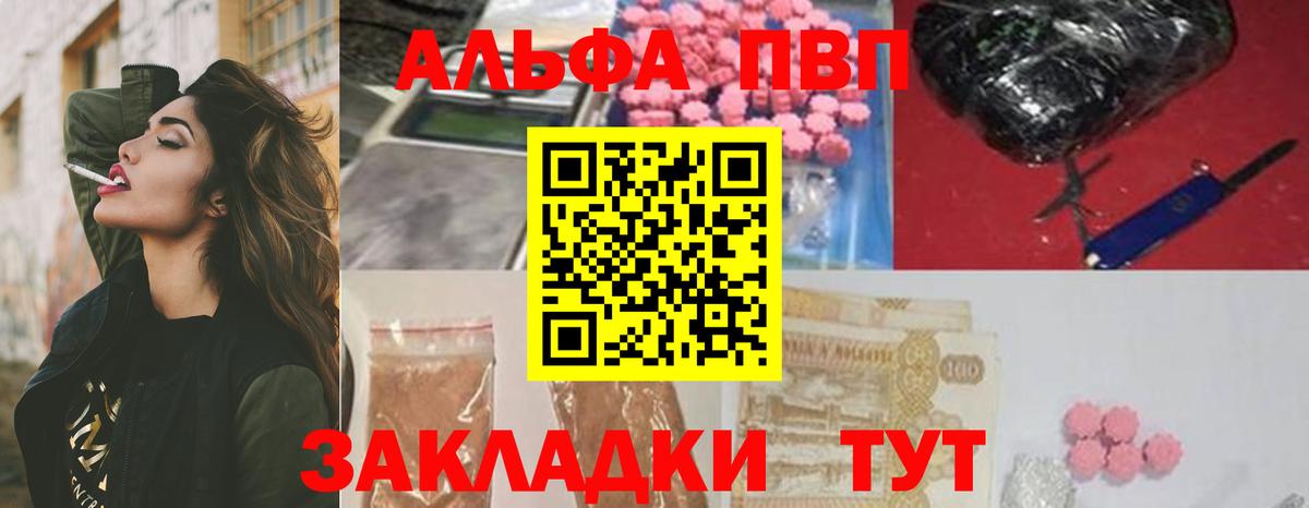 Альфа ПВП СК КРИС Карачаевск
