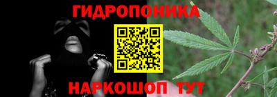 индика Конаково