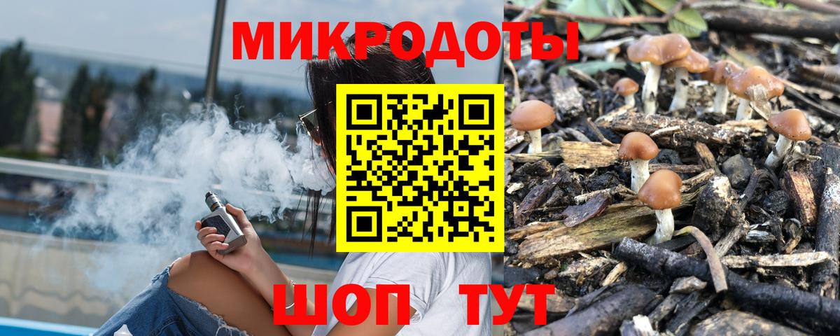 Псилоцибиновые грибы MAGIC MUSHROOMS Карачаевск