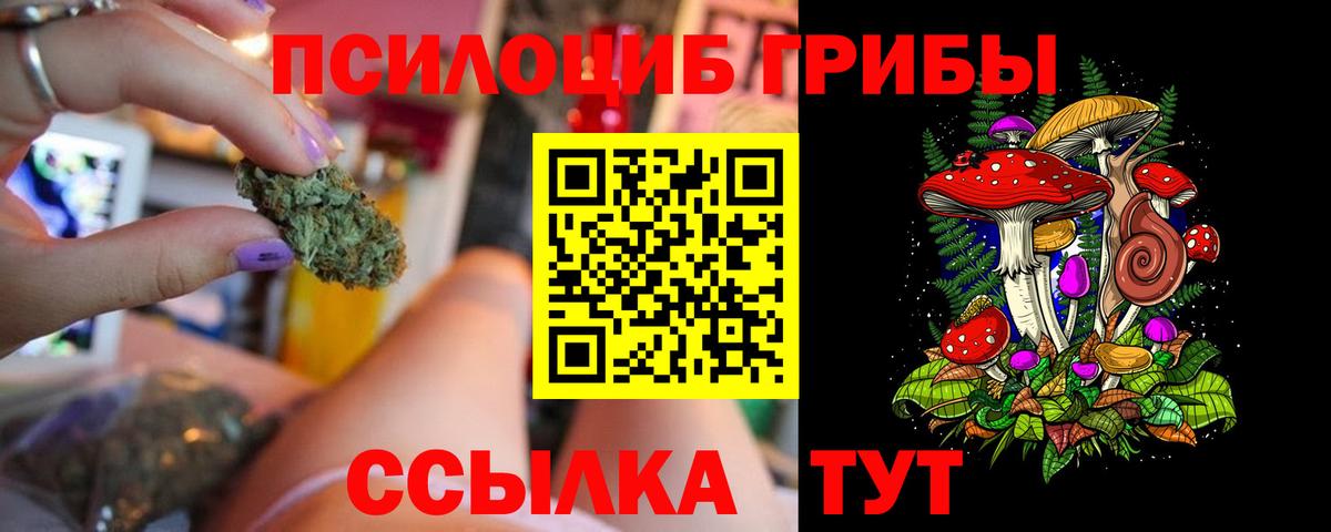Карачаевск  Псилоцибиновые грибы прущие грибы  купить наркоту  Вход с VPN 